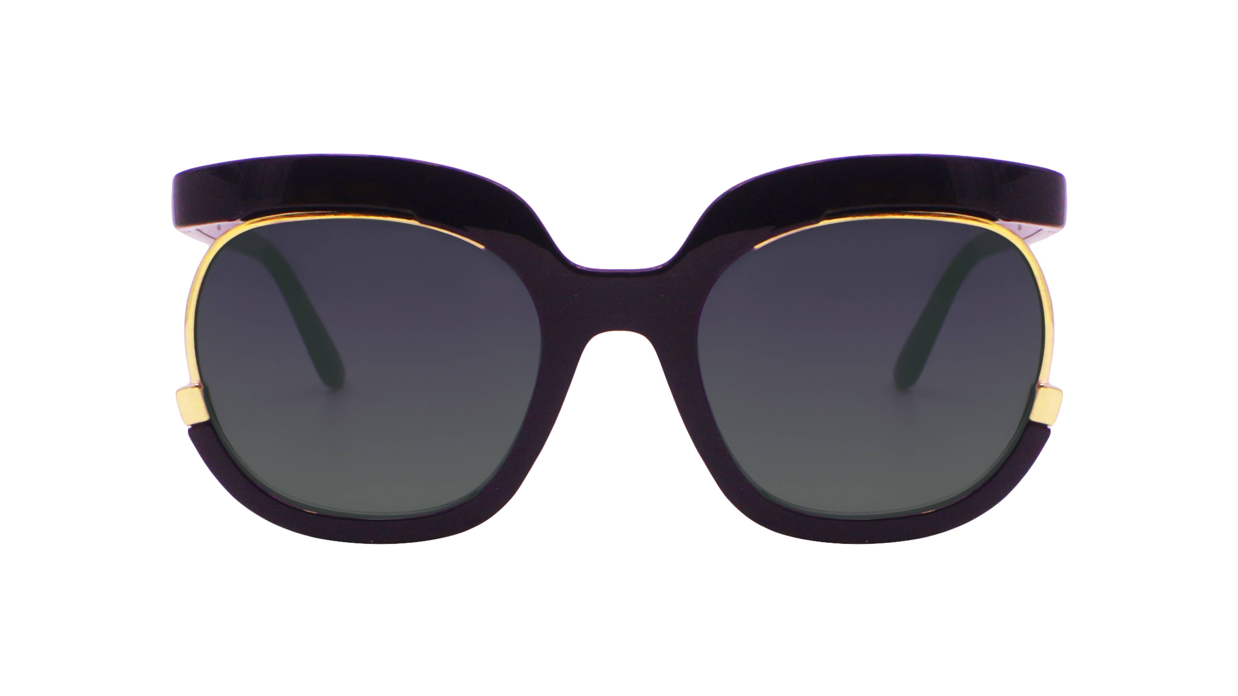 SUNGLASS WOMENS "PARIS" SW067