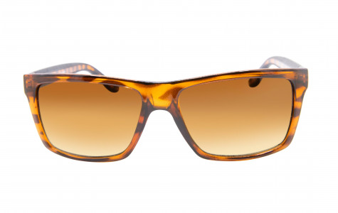 SUNGLASS MENS " MONTANA" SM037